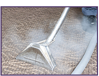 Steam Carpet Cleaners